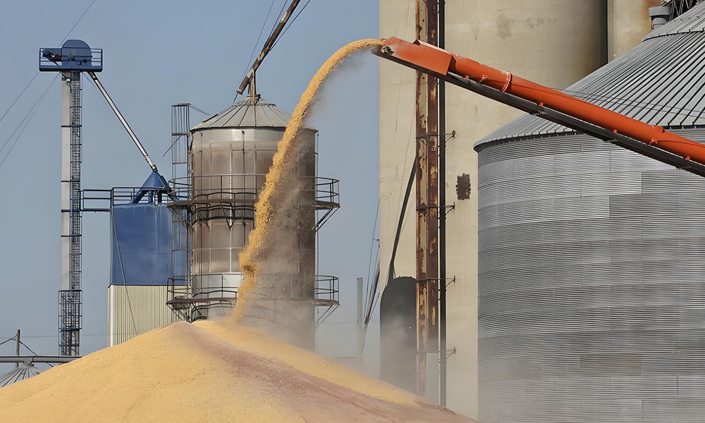 Darko equipment can be used in GRAIN PLANT